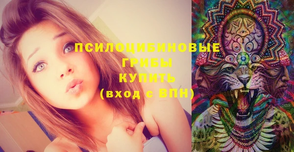 ешки Алексин