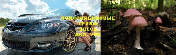 ешки Алексин